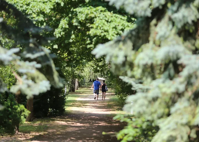 Club Aliga Retro 3* Balatonvilágos