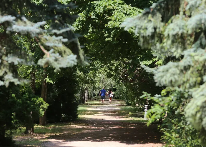 Hotel Club Aliga Retro Balatonvilágos